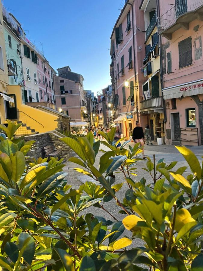 SOTTO IL CASTELLO DI VERNAZZA - GenovaInRelax Esterno foto